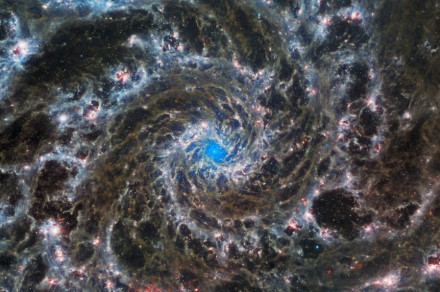 The ‘Phantom Galaxy’ looks stunning in this Webb telescope image